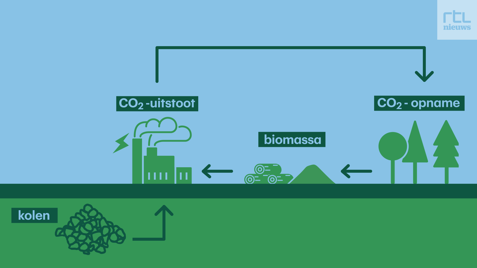 Bespaart het gebruik van biomassa als energiebron wel CO2?